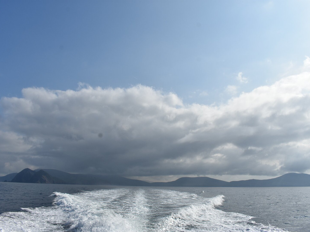 Skellig Falcon-Ballinskelligs必去景点