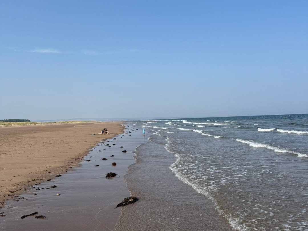 Tentsmuir Forest-Tayport必去景点