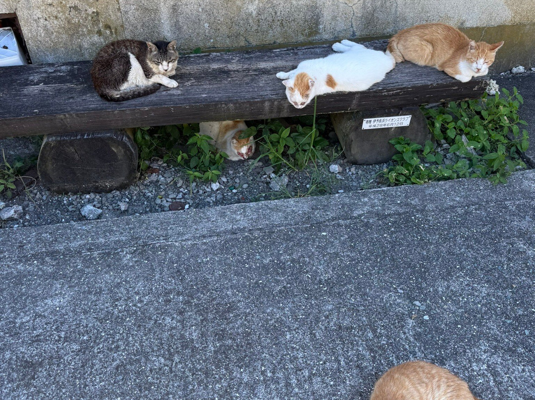 Ainoshima Island-新宫町必去景点