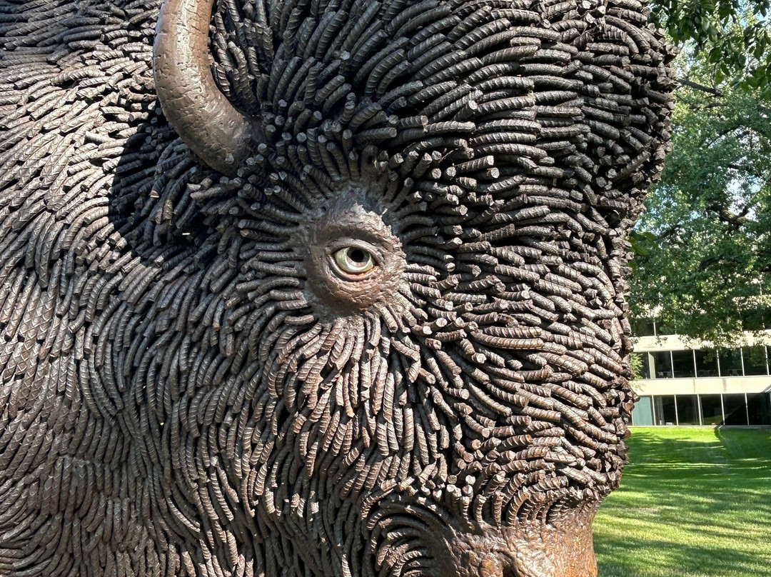 Buffalo Statue-俾斯麦必去景点
