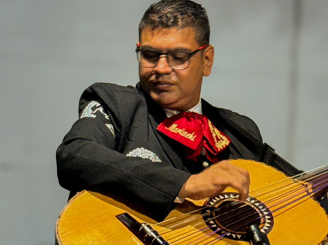 Mariachis en cucuta Trompeta de Oro-库库塔必去景点