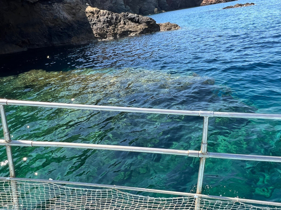 Nick's Fishing Trips Near Athens-瓦里必去景点