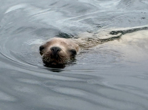 Ketchikan Fishing Company-凯奇坎必去景点