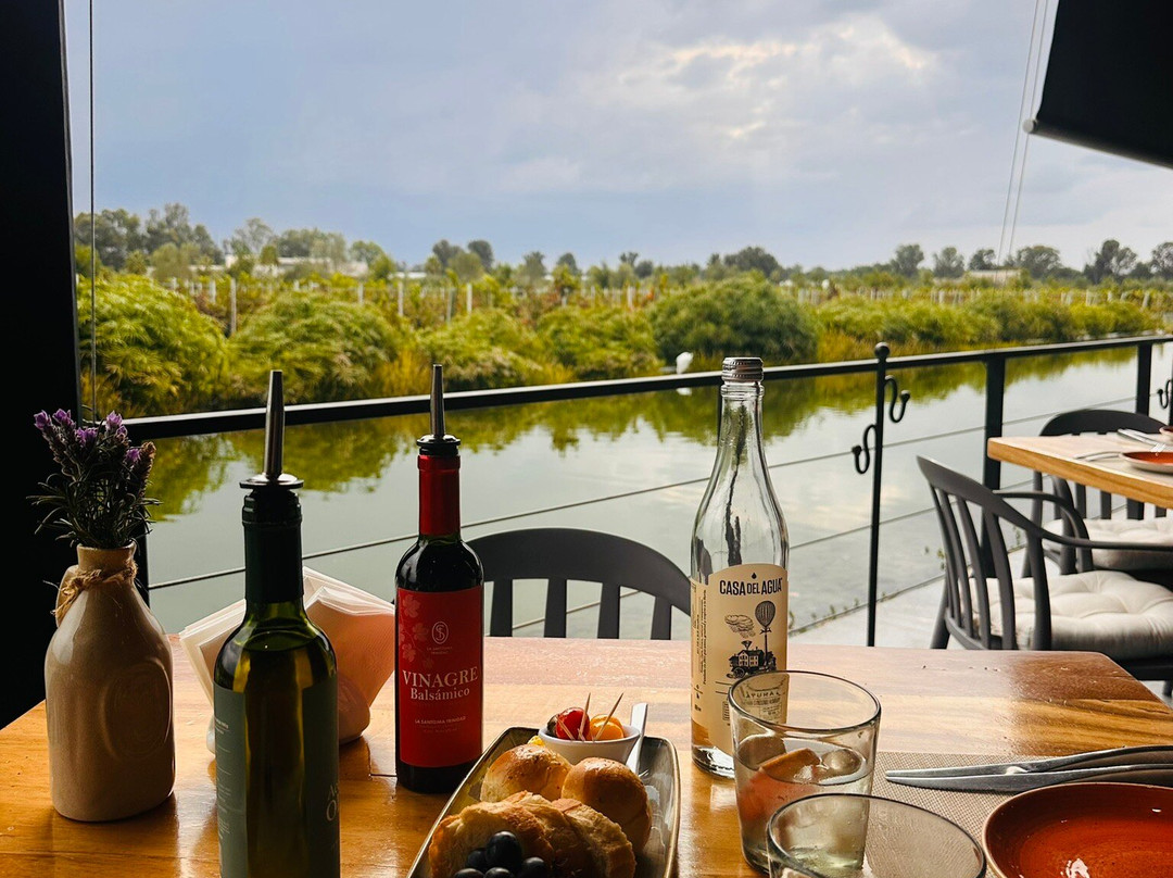 Vinedos San Francisco主图