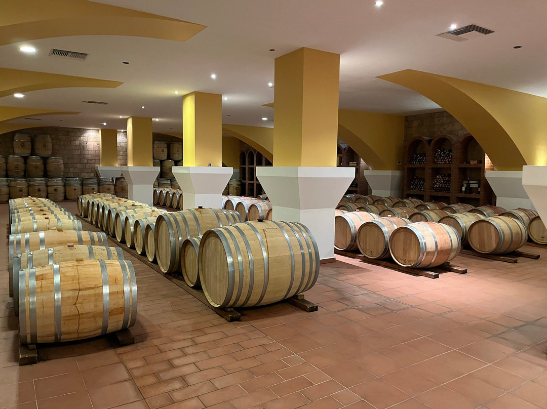 KTIMA AKRANI (Triantafyllopoulos Winery)-Kos Town必去景点