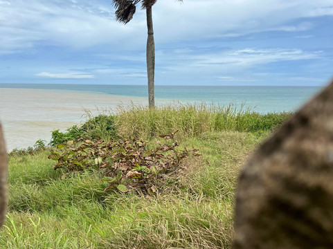 Belle Côte d'ivoire-阿比让必去景点