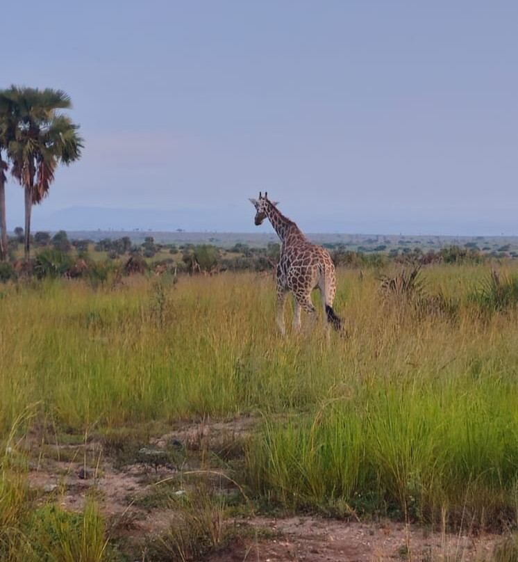 Eros Travelogue-金贾必去景点