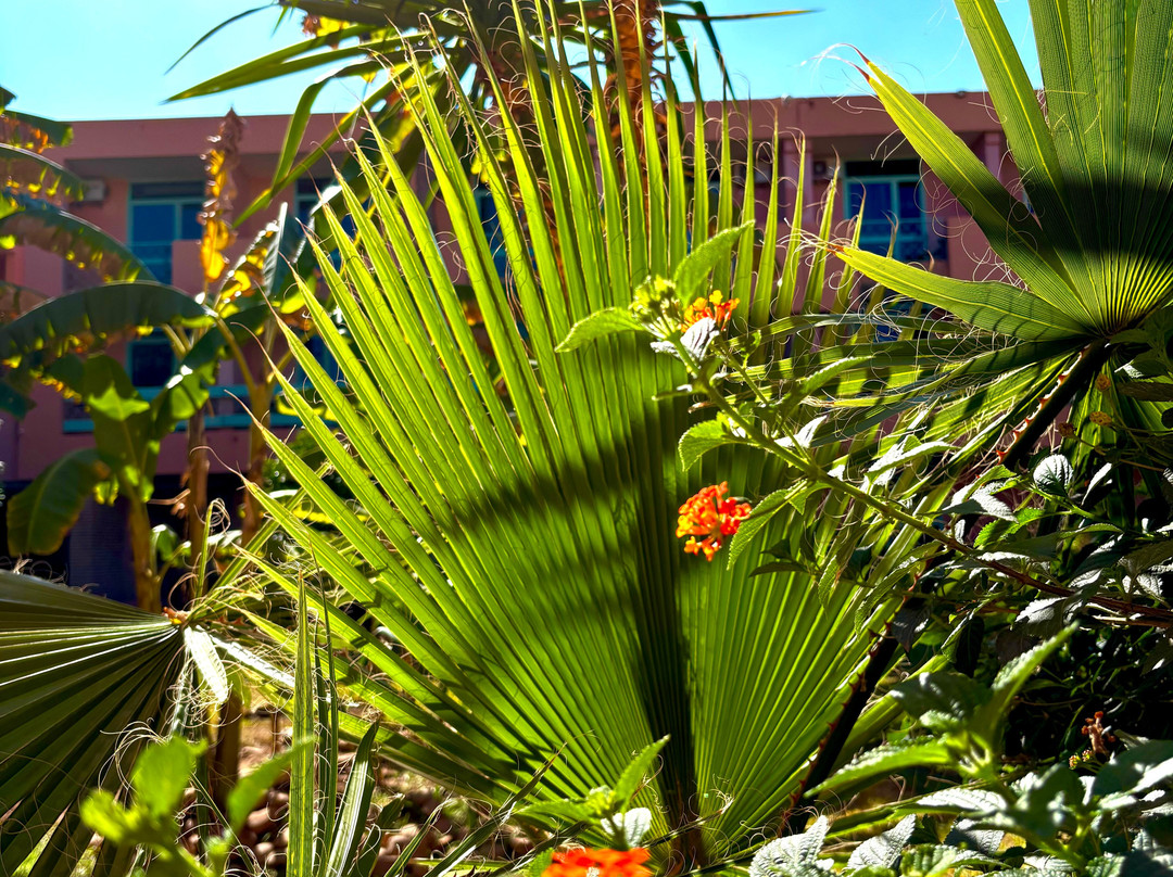 Caravane Cimes et Dunes-扎古拉必去景点