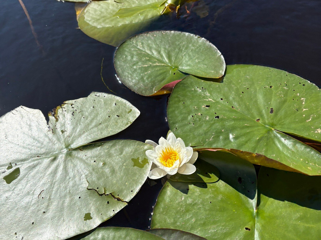 WildOslo-奥斯陆必去景点