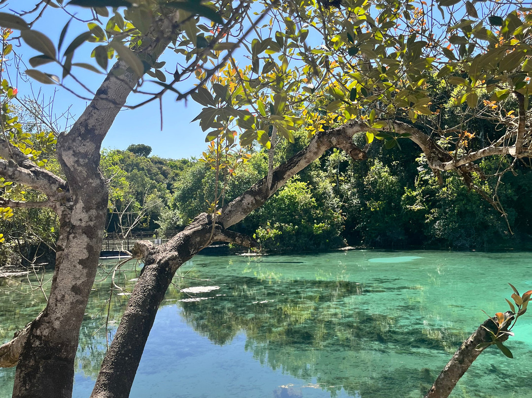Lagoa Azul-Primavera Do Leste必去景点