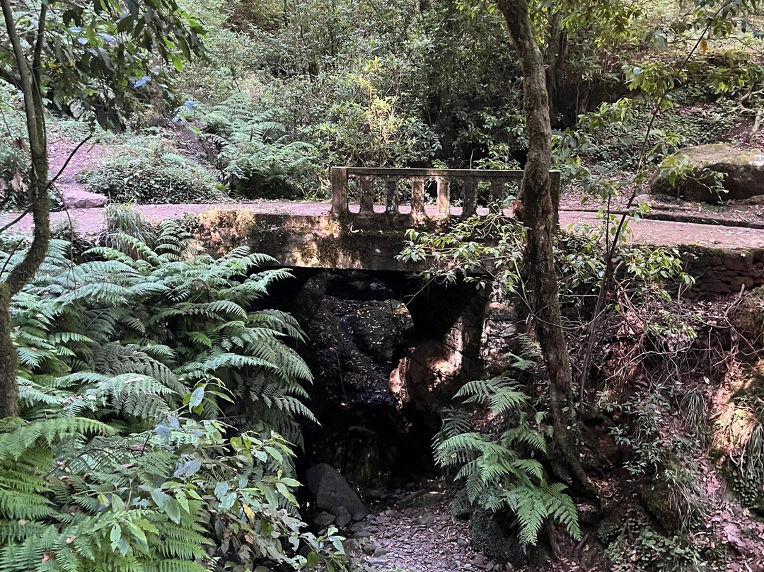 马德拉月桂树公园-马德拉群岛必去景点