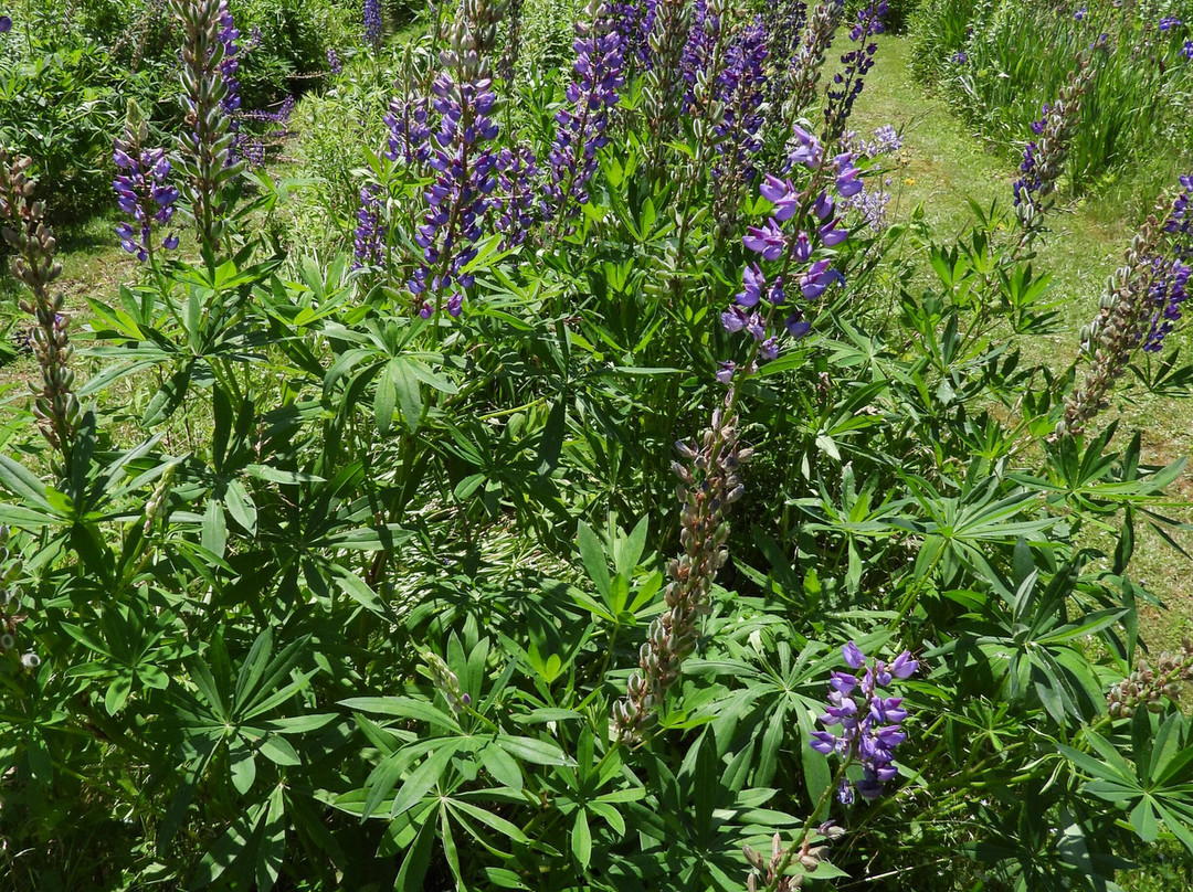 Frances Perkins Center-Newcastle必去景点