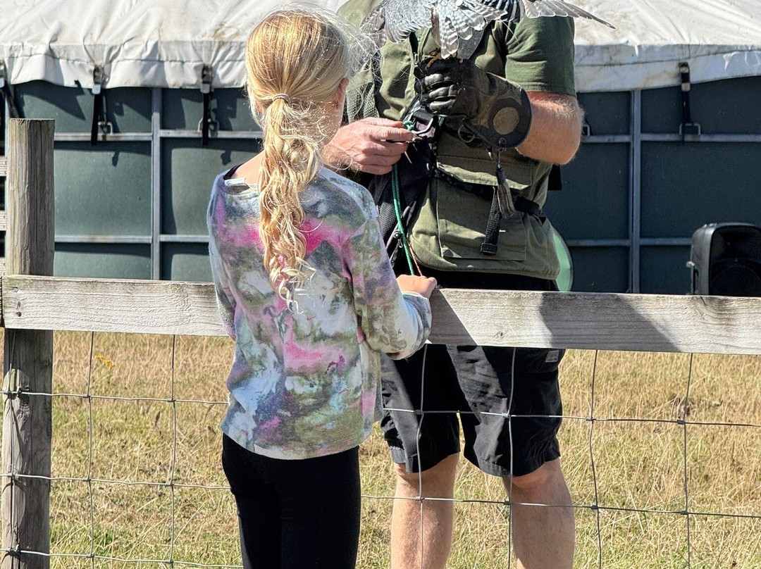 Farmer Teds Adventure Farm-Ormskirk必去景点