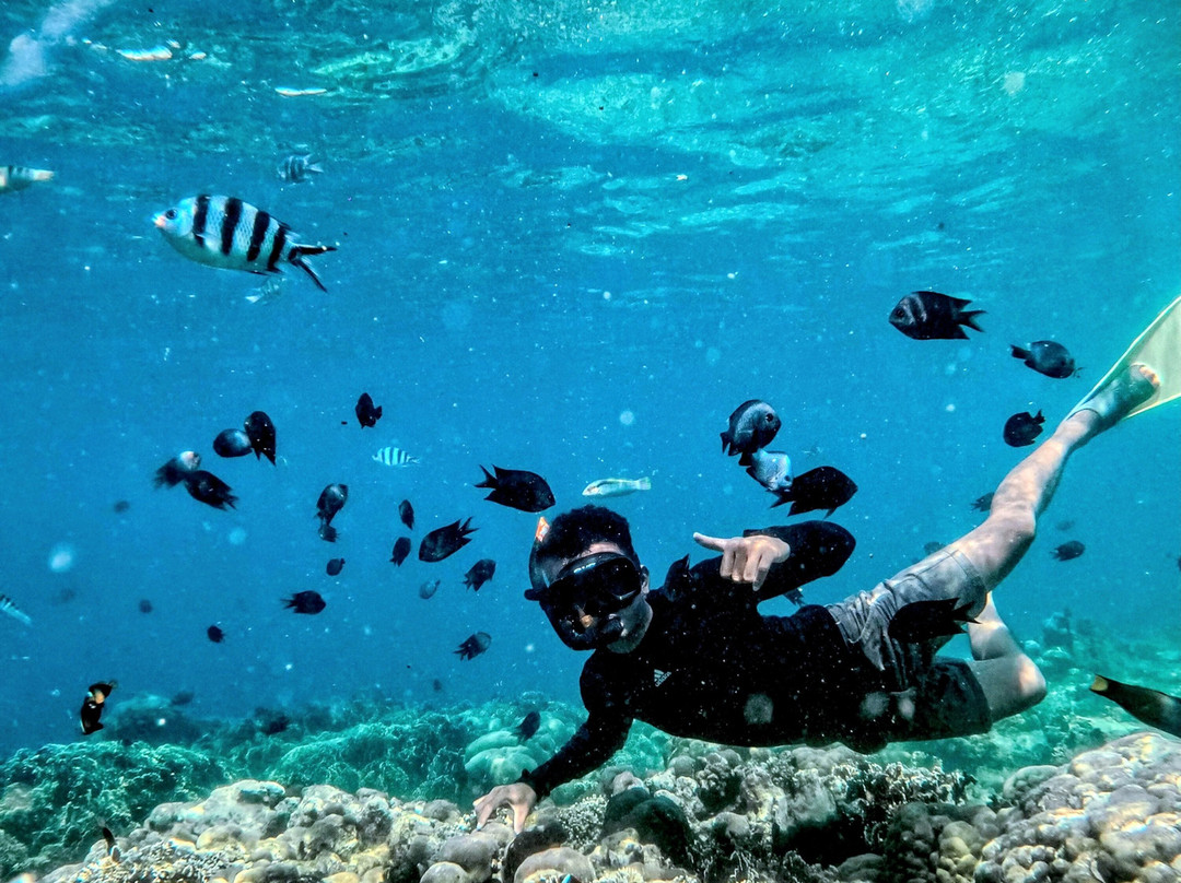 Mango Homestay主图