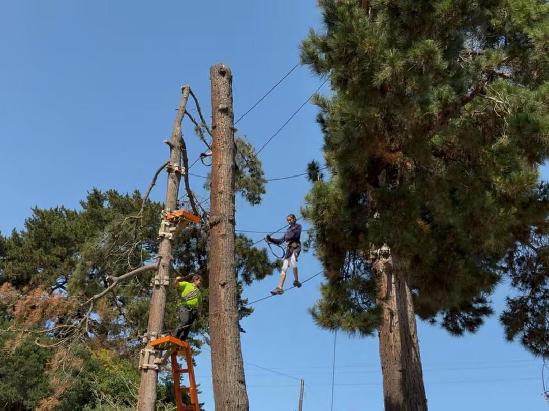 Acrobranch Garden Route-荒野必去景点