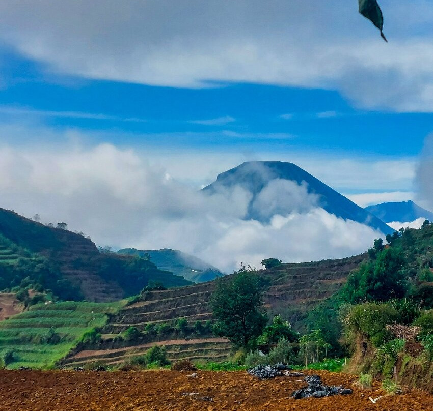 Bismo Mountain-Wonosobo必去景点