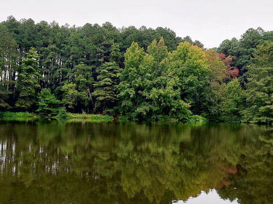 Parque Witeck-Novo Cabrais必去景点