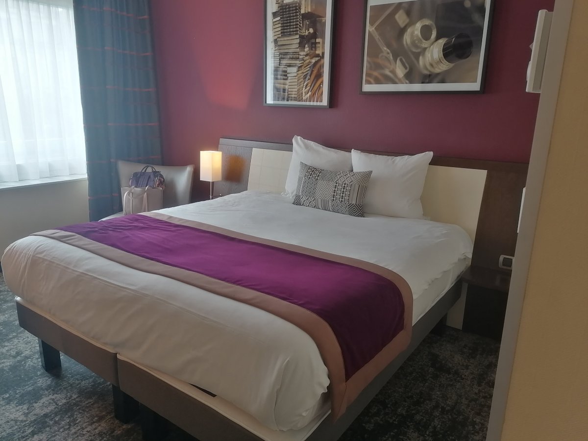 昂热中心福煦美居酒店-官方