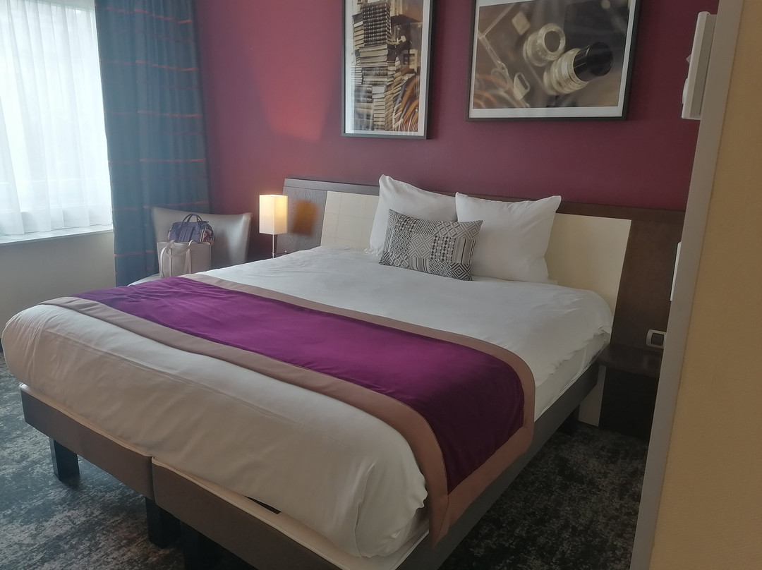 昂热中心福煦水星酒店主图