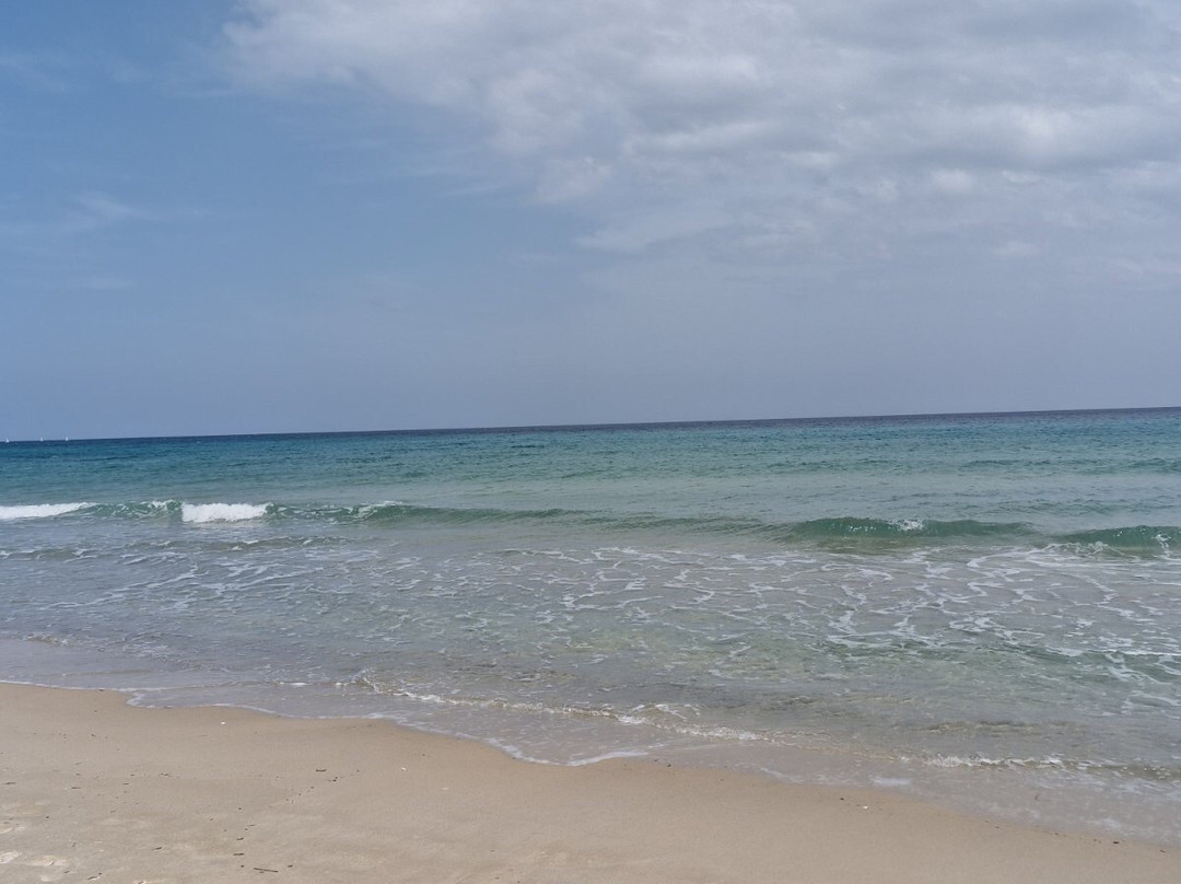 Hotel Nour Congress and Resort主图