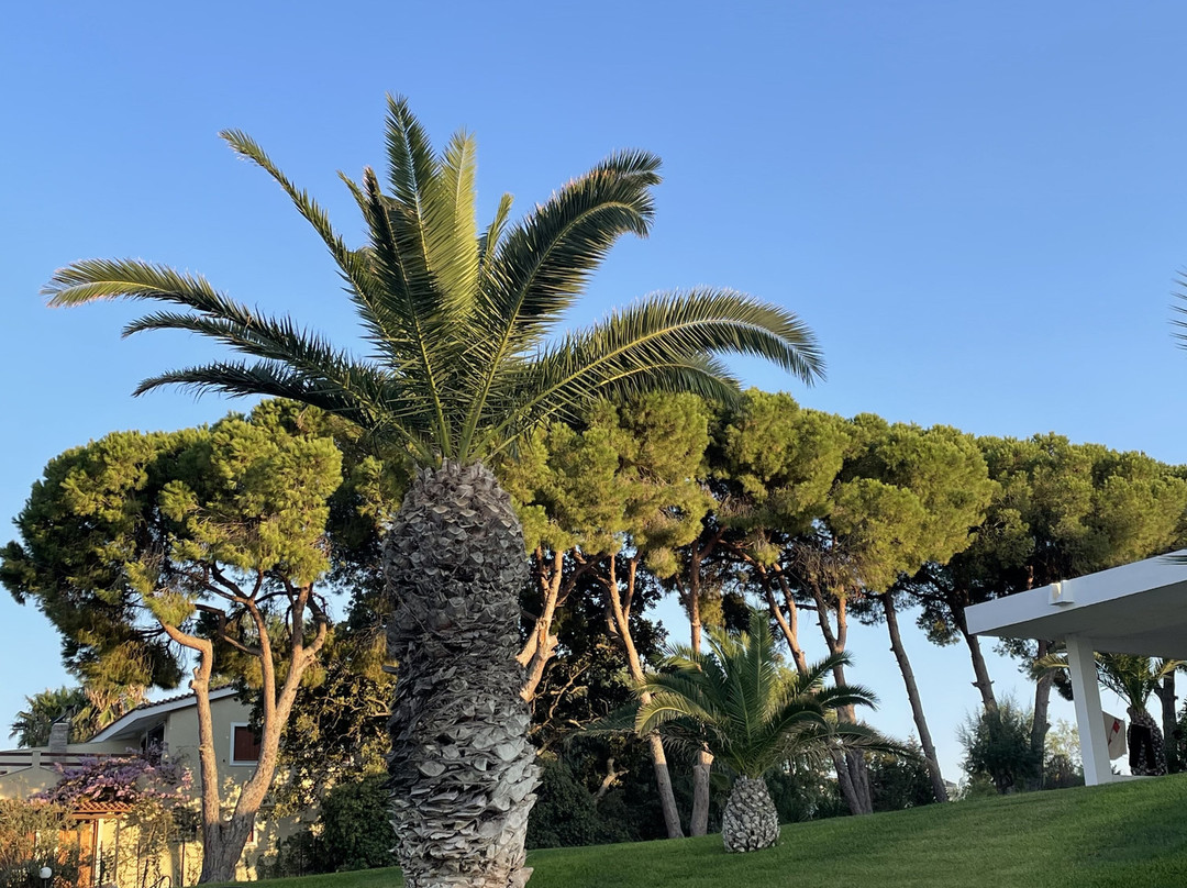 Pavlina Beach Hotel主图