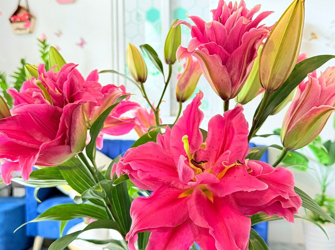 Hero massage spa-Phuoc My必去景点