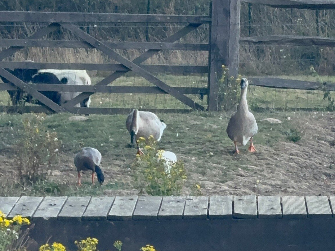 Le Refuge - le Domaine Wambrechies
