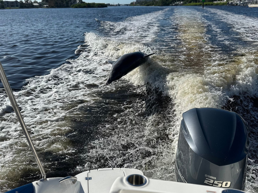 Suncoast Adventure Tours And Charters-Osprey必去景点