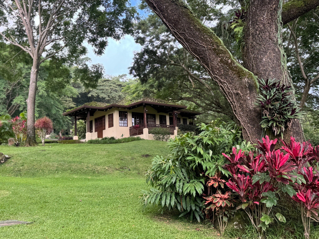 Alejandro Chaves Viquez Tour Guide-圣何塞必去景点