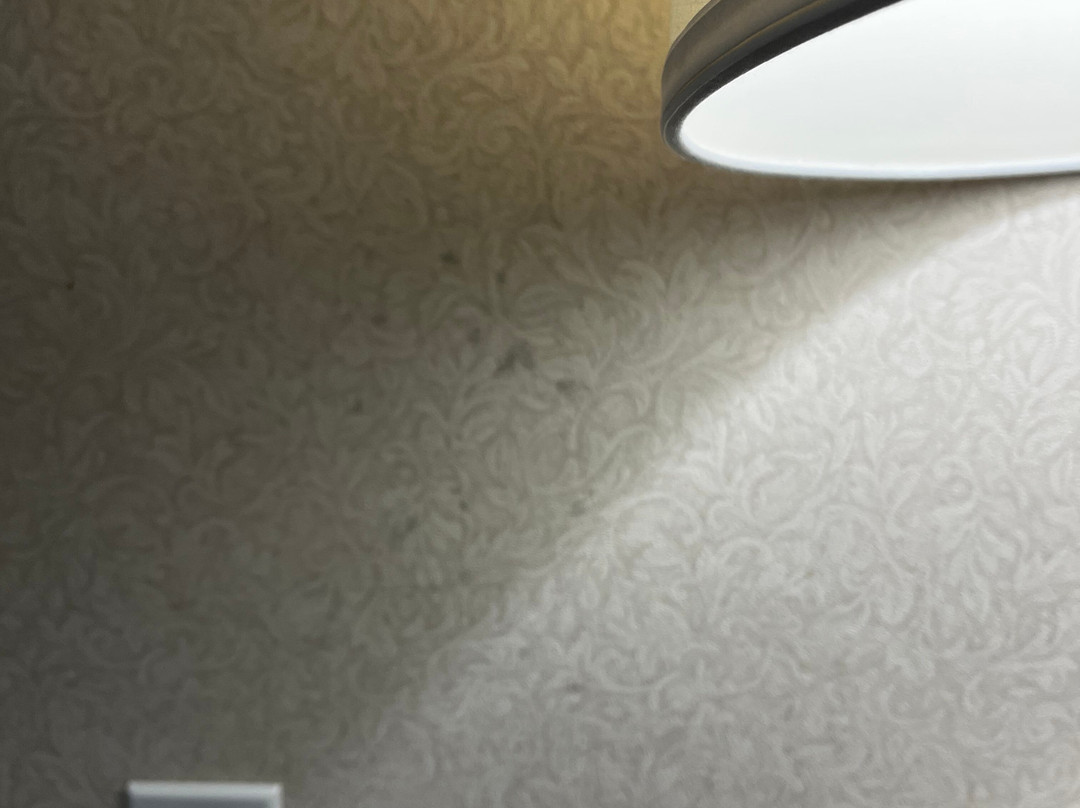 Comfort Inn & Suites主图