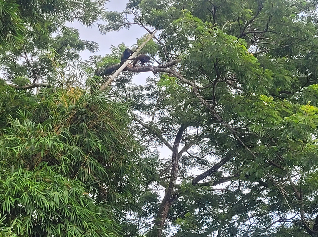 Horizon Hotel & Yoga Center主图