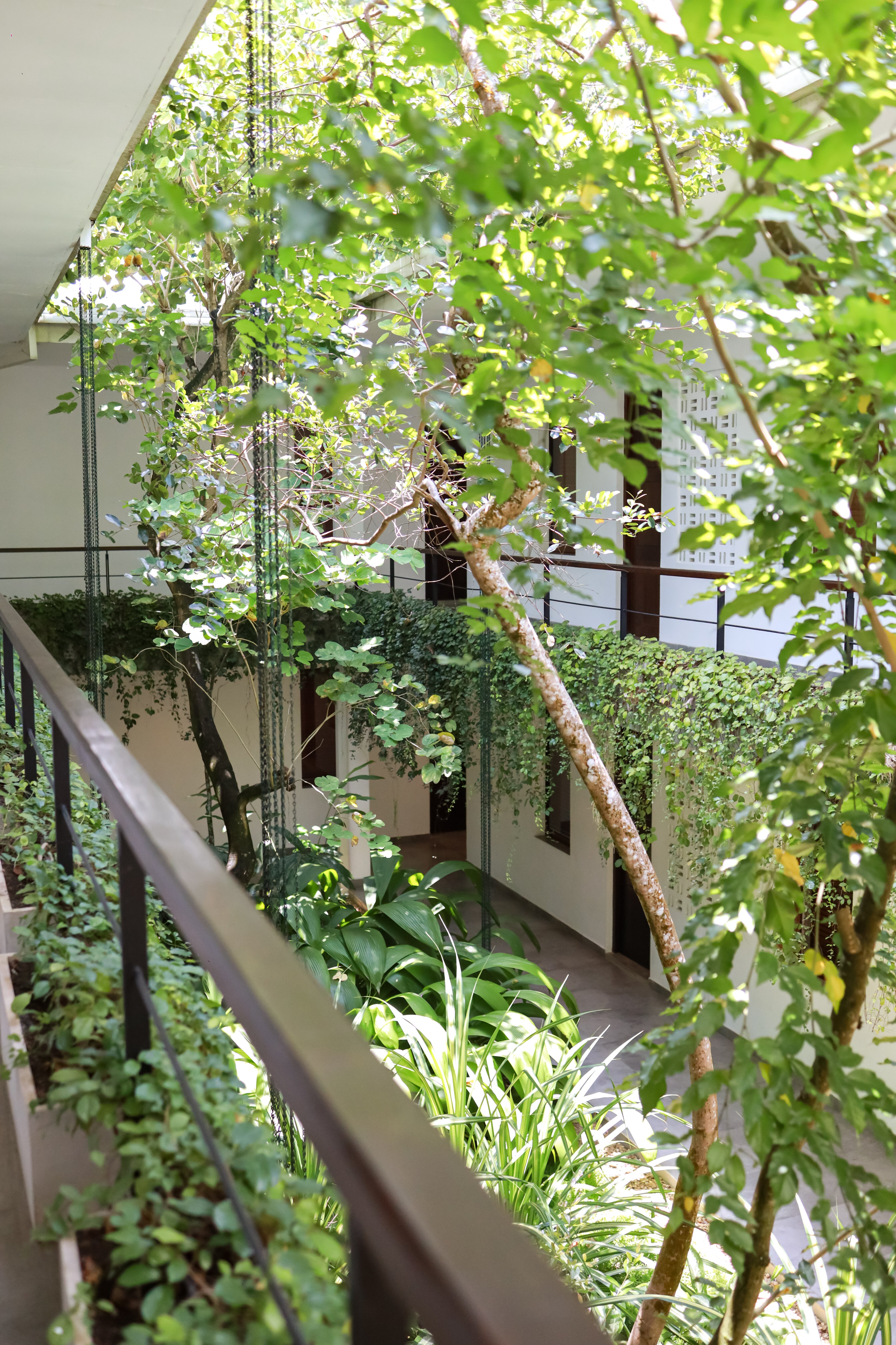 MAS Athena-酒店景观