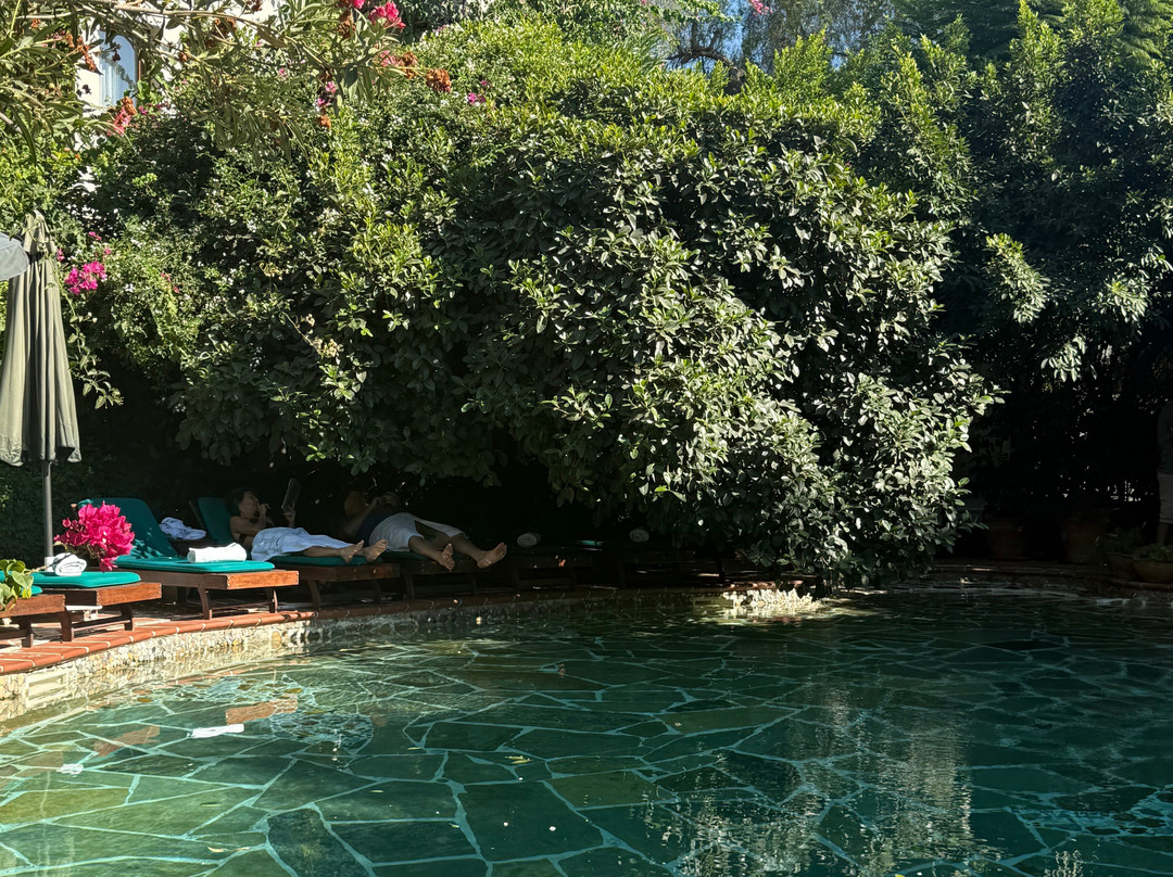 艾莉维诺套房酒店主图