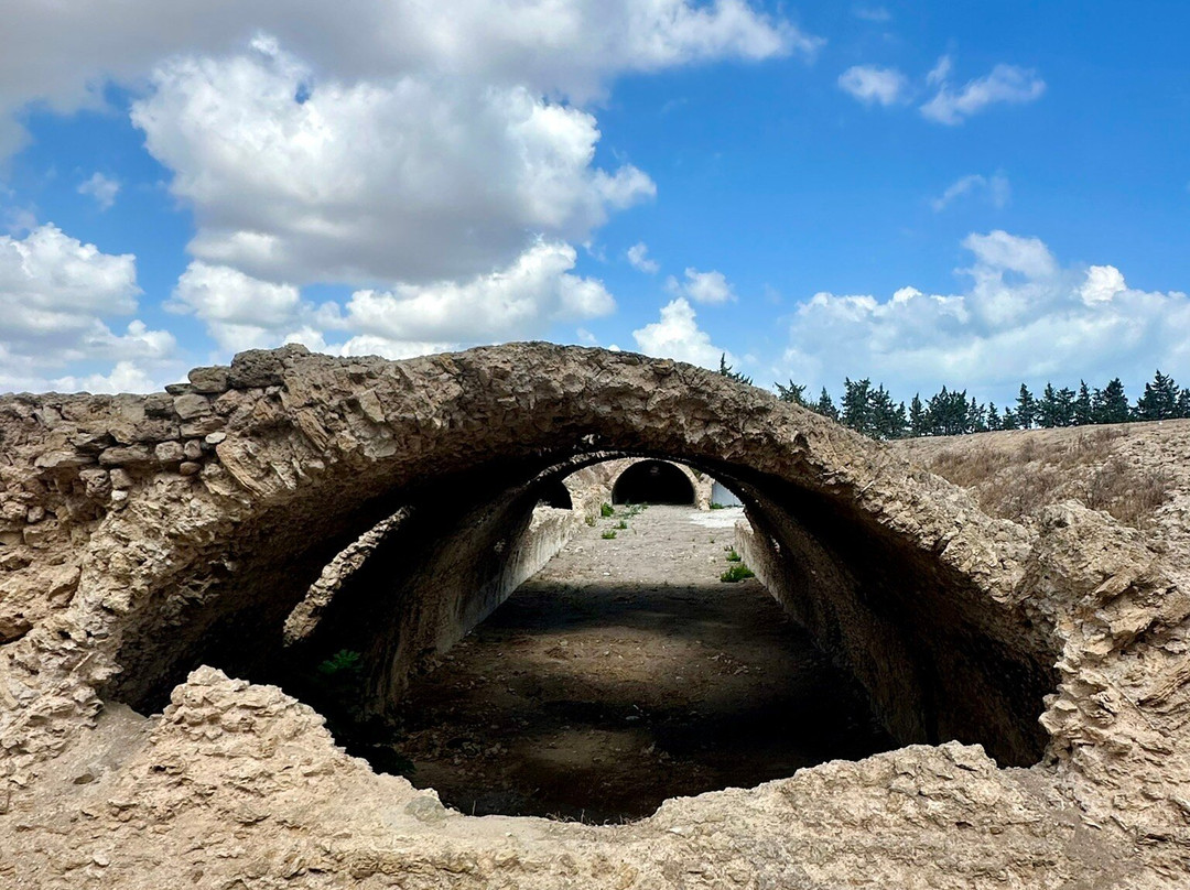 Carthage  Aqueduct-迦太基必去景点