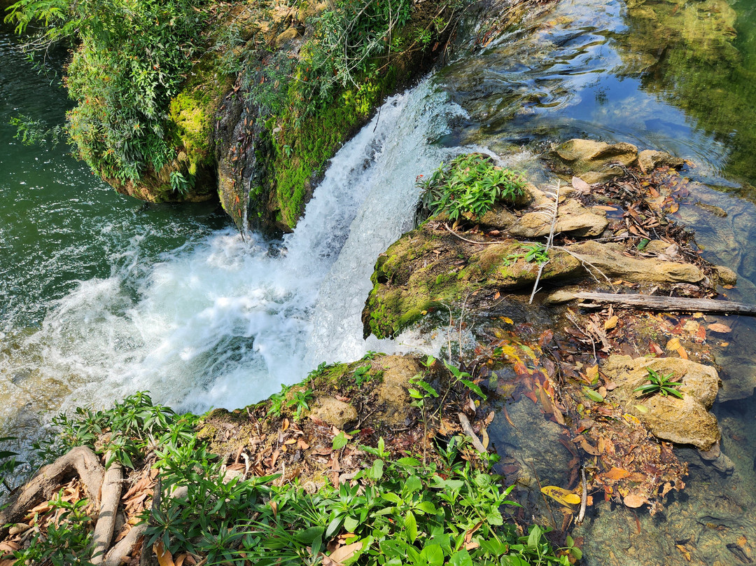 Eco Park Porto Da Ilha-博尼图必去景点