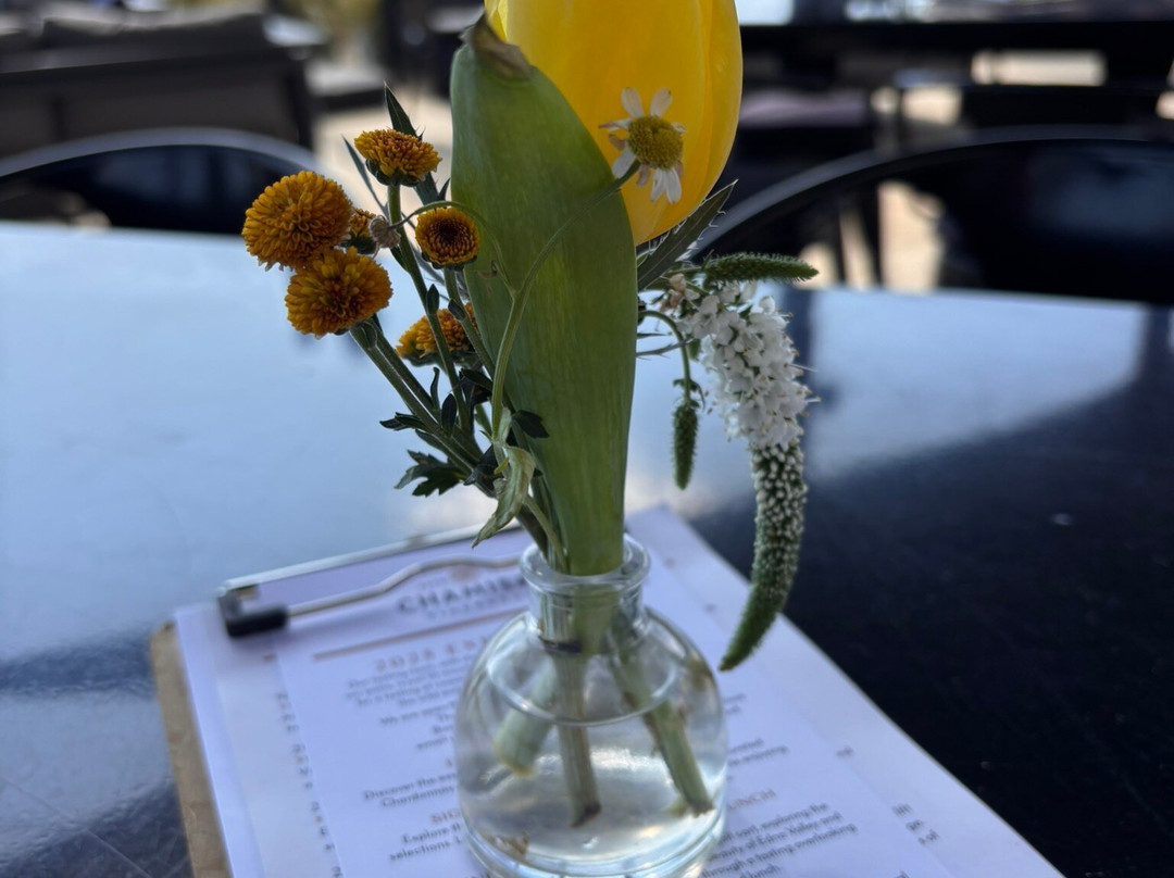 Chamisal Vineyards-圣路易斯-奥比斯波必去景点