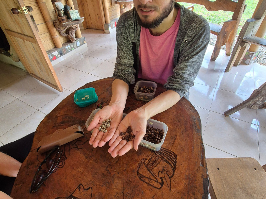 El Recuerdo Finca Cafetera Tradicional-萨伦托必去景点