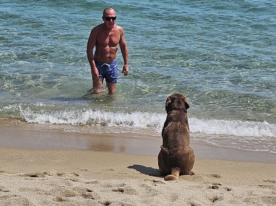 Spiaggia di Su Barone-奥罗塞必去景点