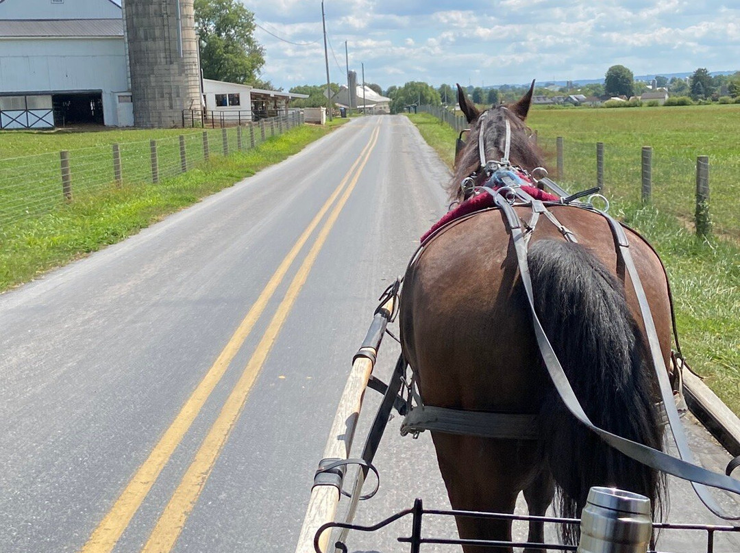 Abe's Buggy Rides-Bird in Hand必去景点
