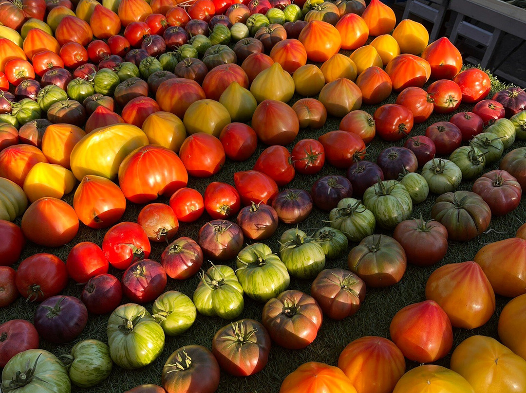 Le Marche d'Arles-阿尔勒必去景点