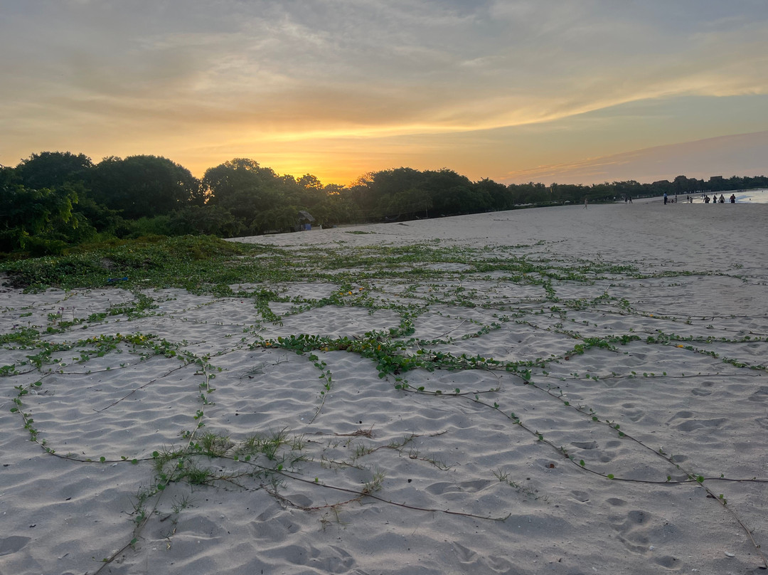 Triplanka Tours-科伦坡必去景点