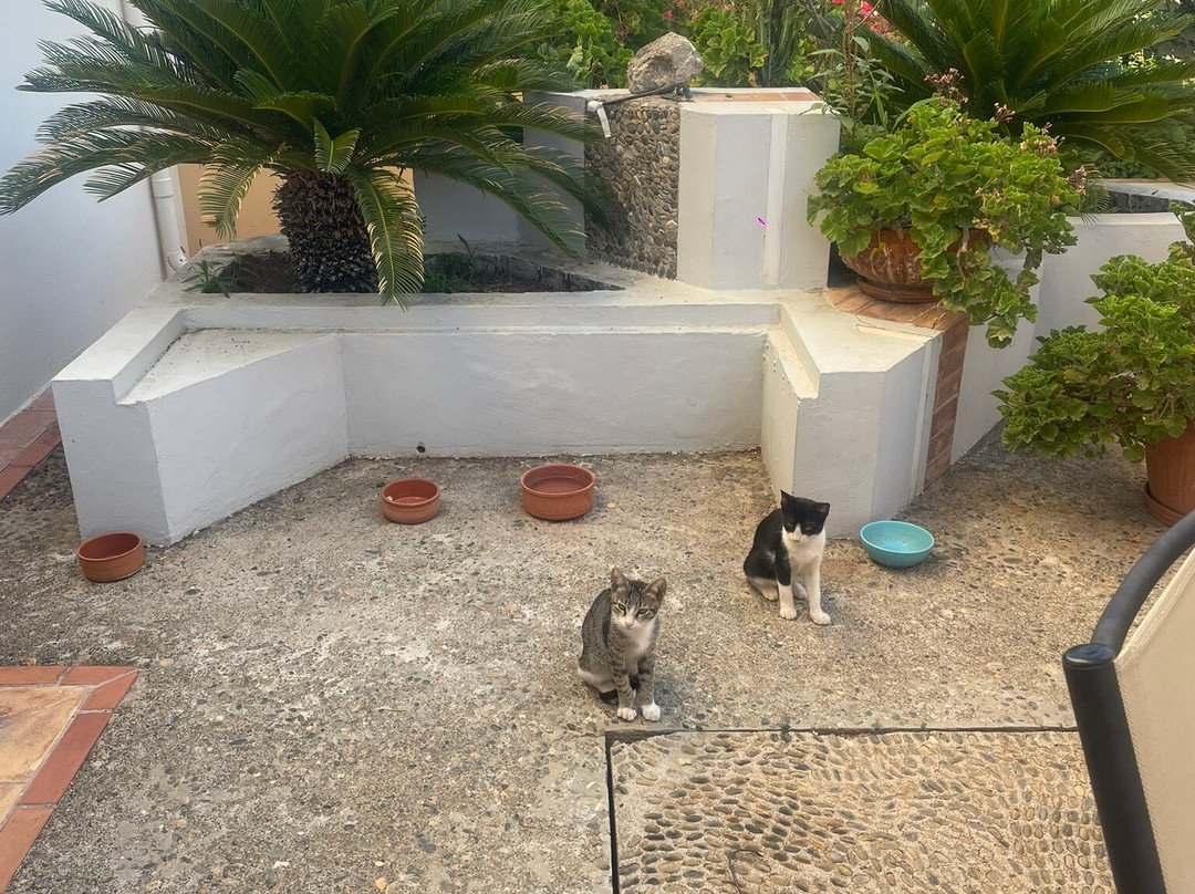 Lycasti Maisonettes主图