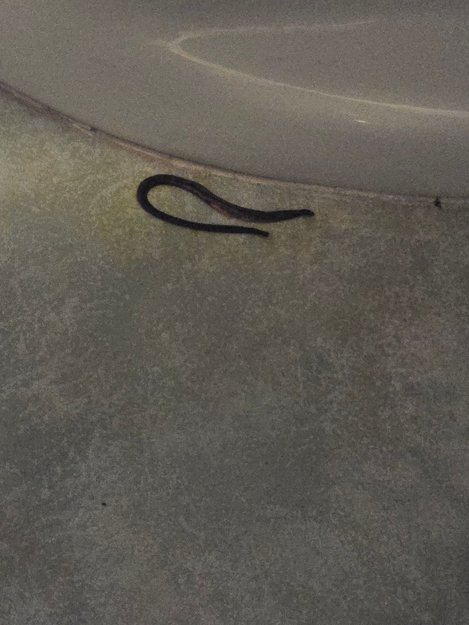 Pergola酒店-官方