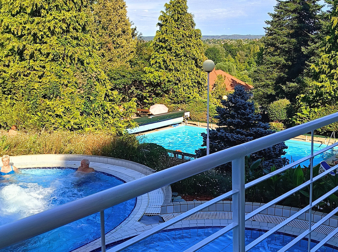 达奴碧尤斯安夸温泉度假酒店主图