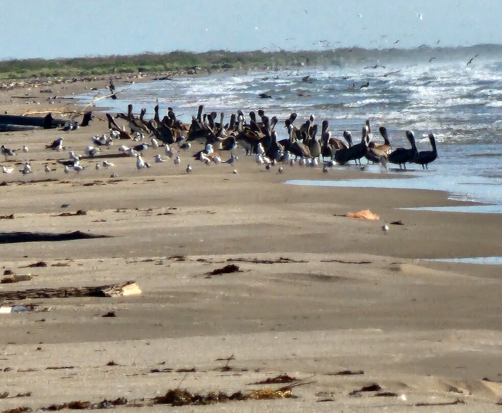 San Jose Island-阿兰瑟斯港必去景点