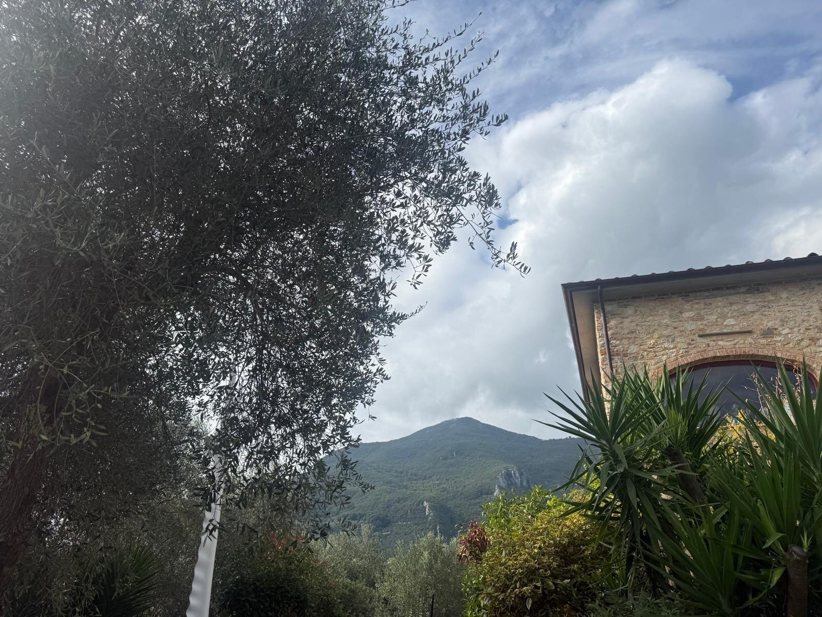 Casa del Sole-官方