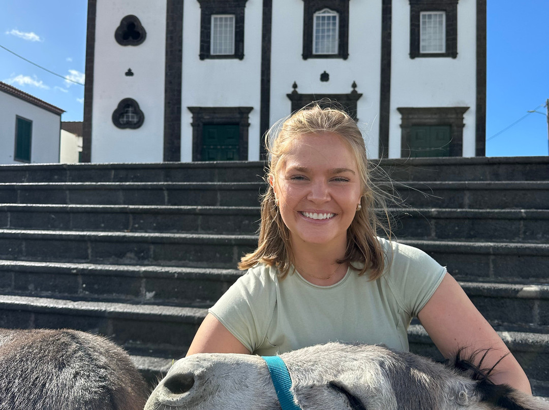 Donkeys & Friends-Agua de Alto必去景点