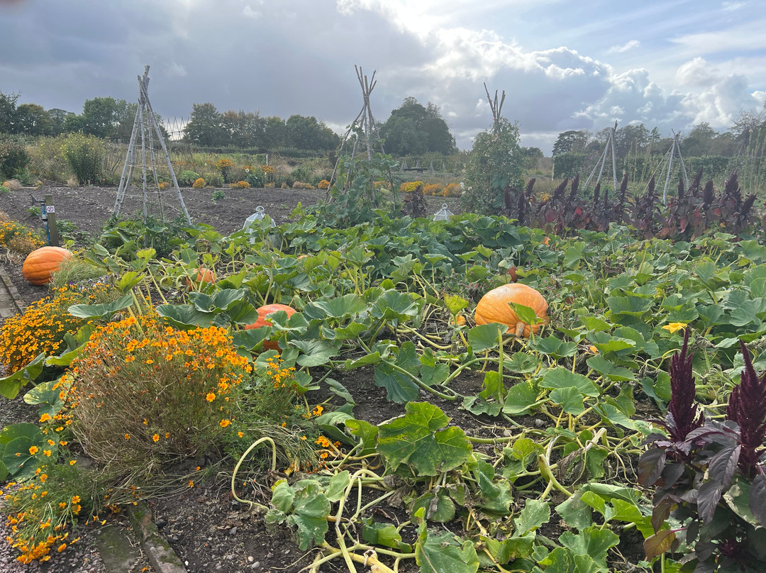Gordon Castle Walled Garden-Fochabers必去景点