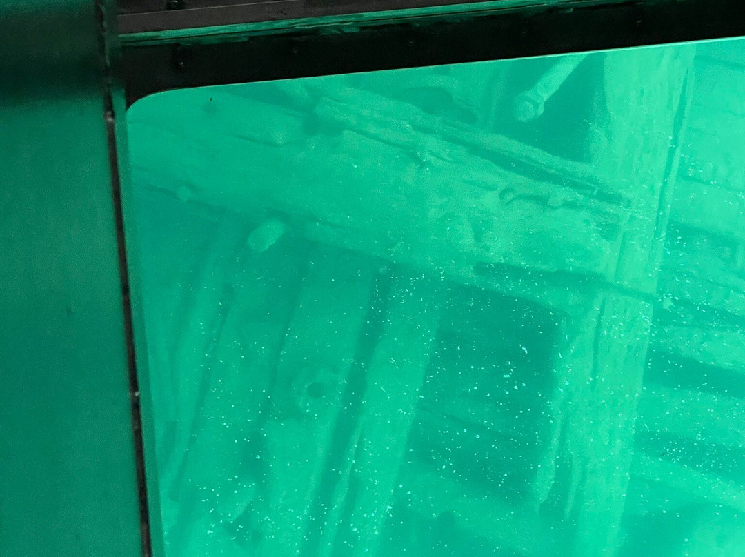 Glass Bottom Shipwreck Tours-缪尼辛必去景点