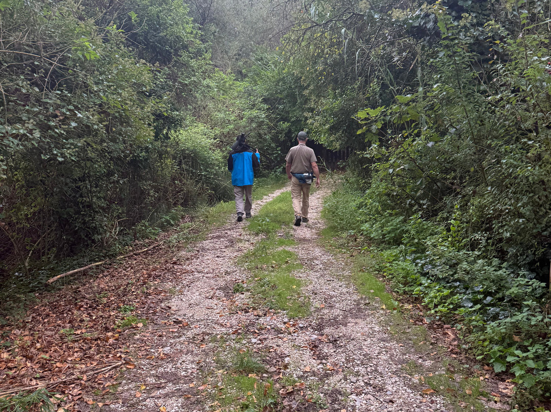 Birding In Italy-Capolona必去景点